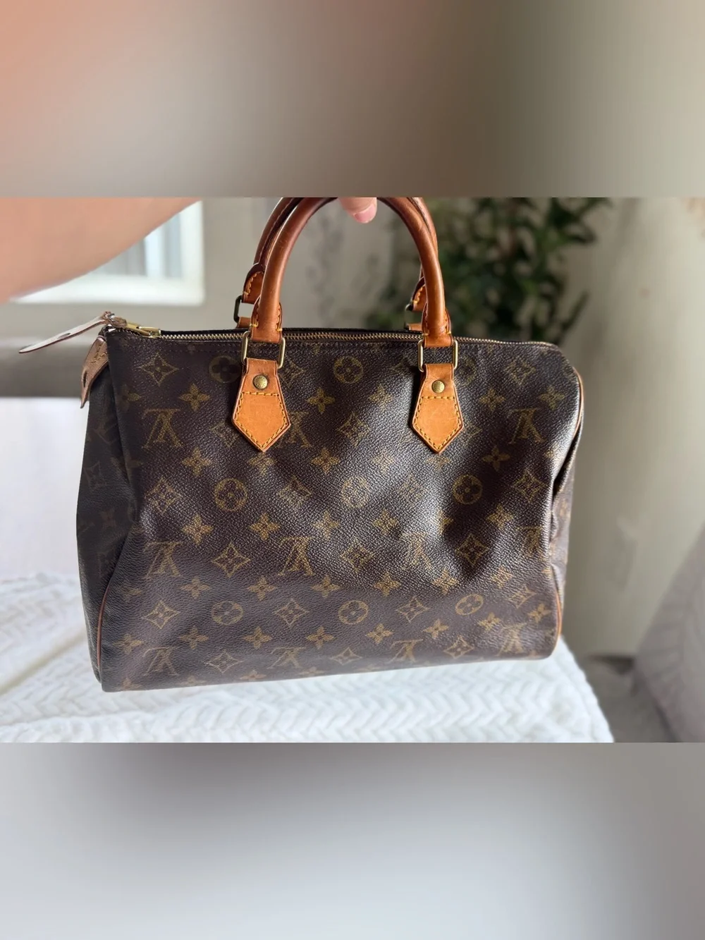 Louis Vuitton Monogram Canvas Duffel Bag in Brown and Tan